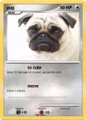 pug