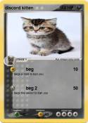 discord kitten