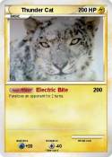 Thunder Cat