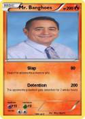 Mr. Banghoes