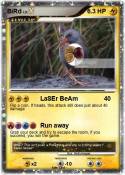 BiRd