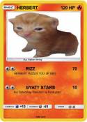 HERBERT