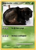 loup-border col