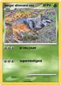 berger allemand