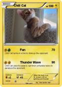 Chill Cat