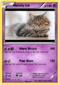 Mainely Cat