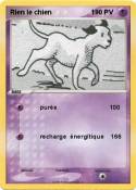 Rien le chien 1