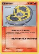 Cytoplasm