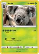 Koala