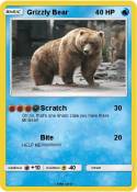 Grizzly Bear