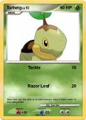 Turtwig