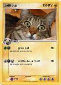 patit cup