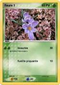 fleure 1