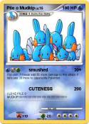 Pile o Mudkip