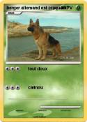berger allemand