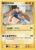 MAXIX'S DOG