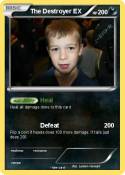 The Destroyer