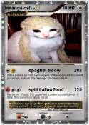 lasanga cat
