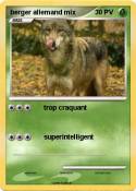 berger allemand