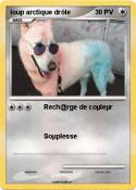 loup arctique