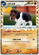 cute pup