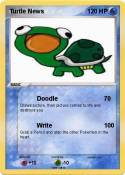 Turtle News