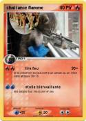 chat lance flam