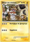 berger des shet