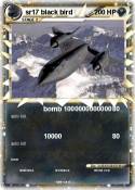 sr17 black bird