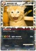 awsome cat
