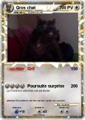 Gros chat
