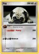 Pug