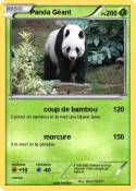 Panda Géant