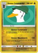 Goose Commander
