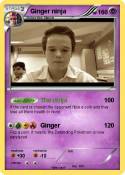 Ginger ninja