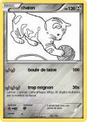chaton