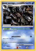 moule sauvage