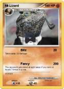 Mr.Lizard