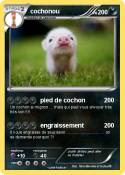 cochonou