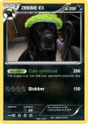 ZEBBIE EX