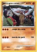 yack à gros