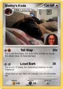 Shelby's Koda
