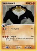 lucci (leopard)