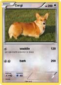 Corgi