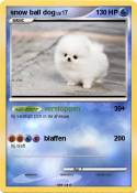 snow ball dog