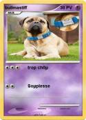 bullmastiff