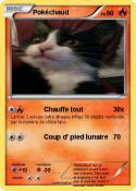 Pokéchaud