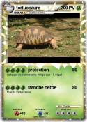tortuosaure
