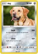 dog