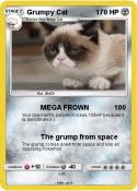 Grumpy Cat